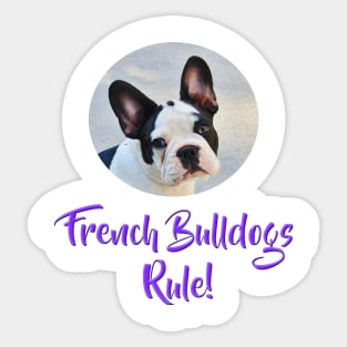 French Bulldogs Rule! Sticker